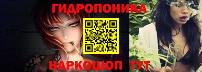 стафф Краснодар