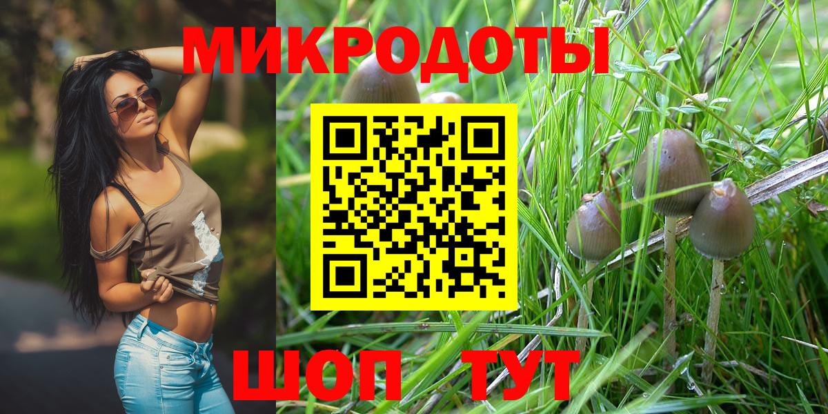 Псилоцибиновые грибы GOLDEN TEACHER Валуйки