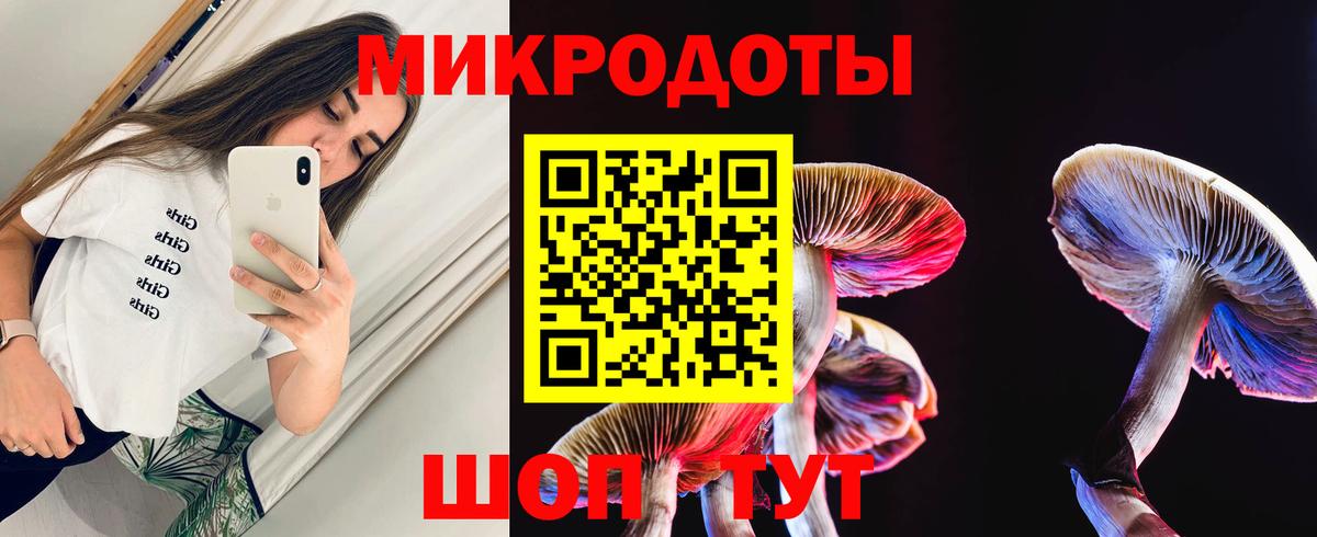 Галлюциногенные грибы Psilocybine cubensis  Псилоцибиновые грибы ЛСД  Валуйки  Вход с VPN 